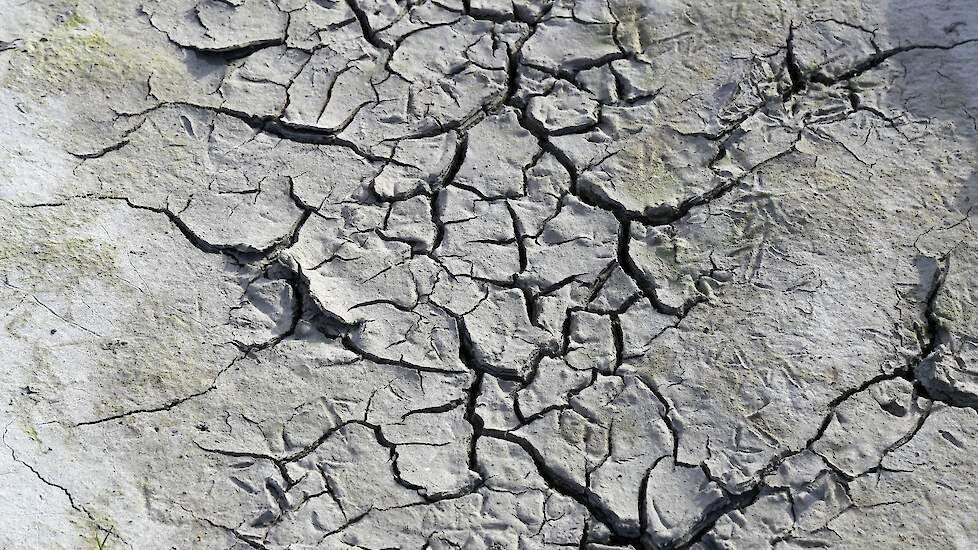 Beeld ter illustratie.