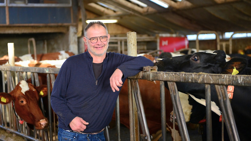 deelnemer Agolin Ruminant Kor de Boer Grijpskerke