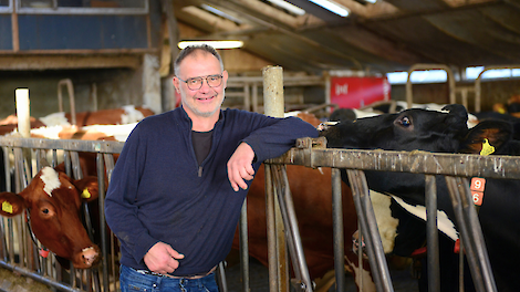 deelnemer Agolin Ruminant Kor de Boer Grijpskerke