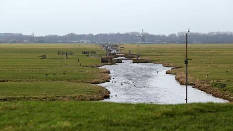 De provincie denkt aan een zonering van 250 meter rond de Nieuwkoopse Plassen.