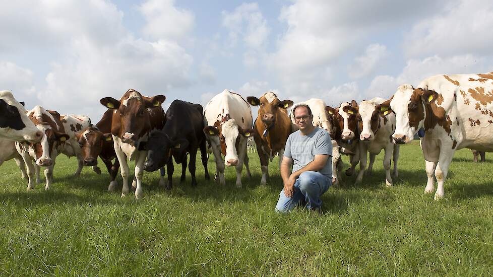 Netwerkdeelnemer Leo Coppens tussen zijn koeien.