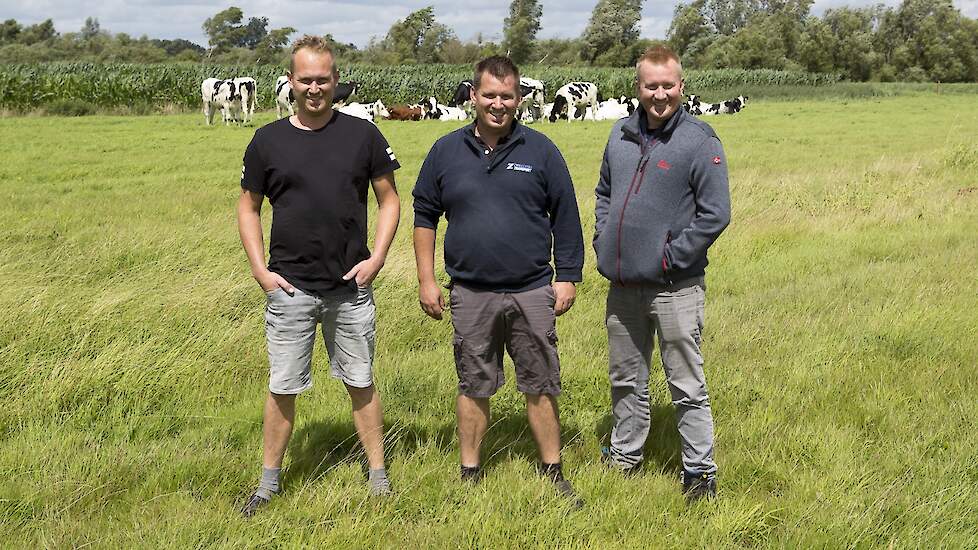 Sytze Zwaagstra tussen zijn broers in hun weiland Nij Beets.