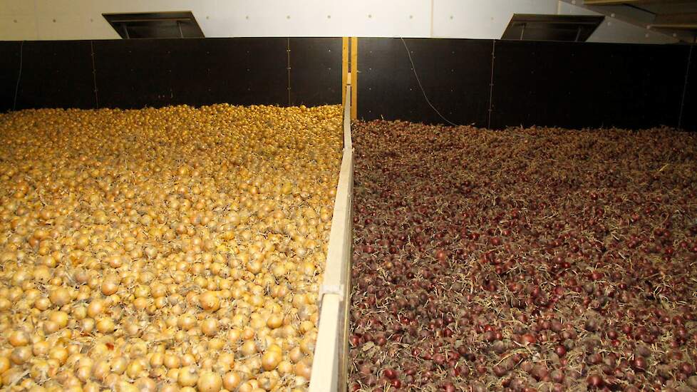 Beeld ter illustratie.