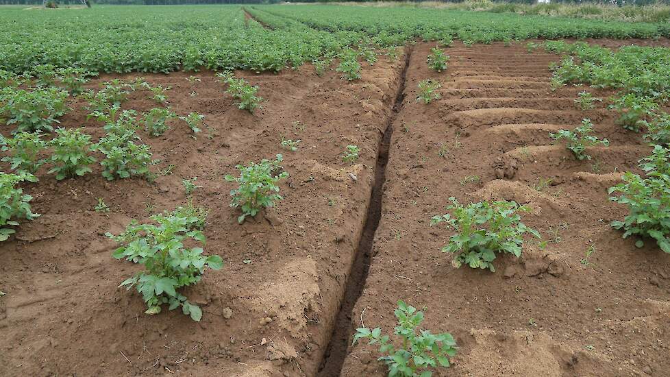 Beeld ter illustratie.