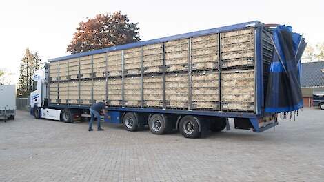 Foto ter illustratie.