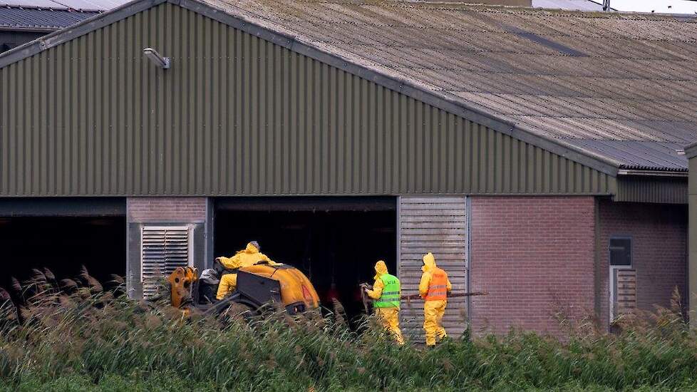 Beeld ter illustratie