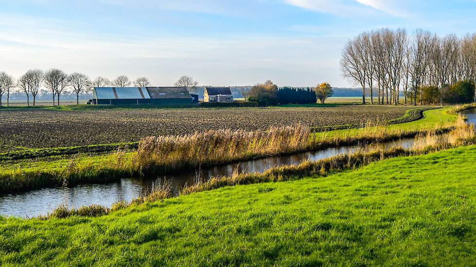 Beeld ter illustratie.