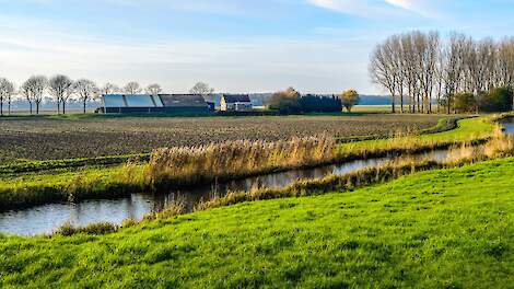 Beeld ter illustratie.