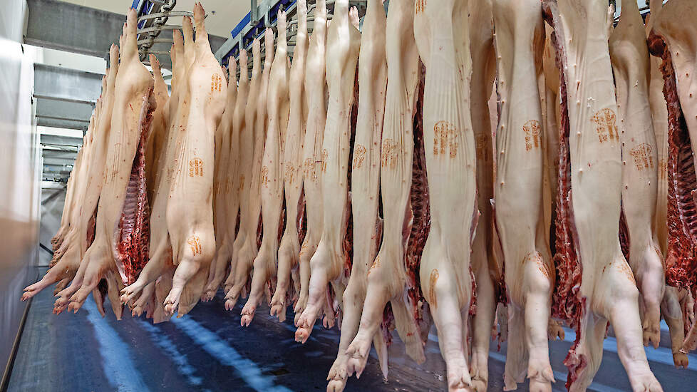 Een vleesvarkenshouder beurt momenteel circa 64 euro minder voor elk afgeleverd vleesvarken ten opzichte van week 24.