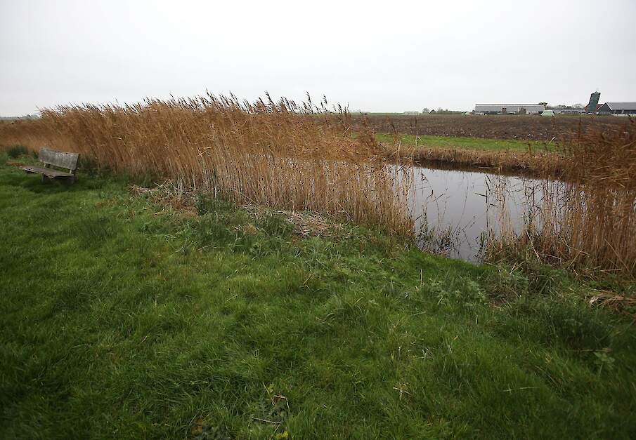 Beeld ter illustratie.