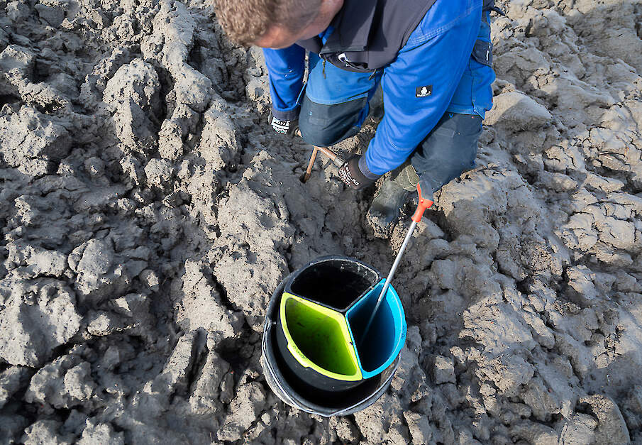 Bemonstering in de praktijk.