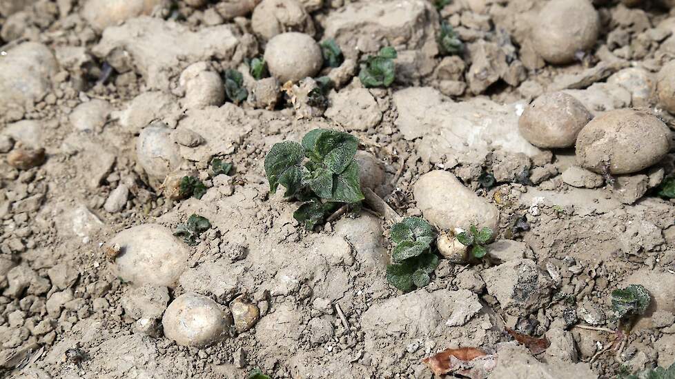 Beeld ter illustratie.