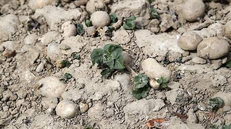 Beeld ter illustratie.