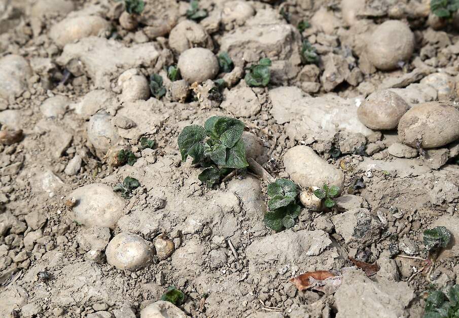 Beeld ter illustratie.