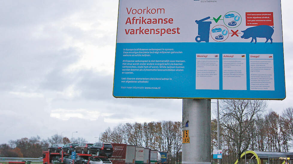 Bij een besmetting van AVP bij wilde zwijnen wordt een besmet gebied ingesteld met beperkende maatregelen.