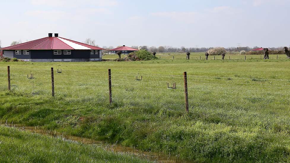 Het biocertificaat van biologisch vleeskuikenbedrijf Paardenbloem van KemerKip in Wehl is terecht verleend.