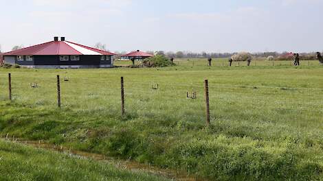 Het biocertificaat van biologisch vleeskuikenbedrijf Paardenbloem van KemerKip in Wehl is terecht verleend.