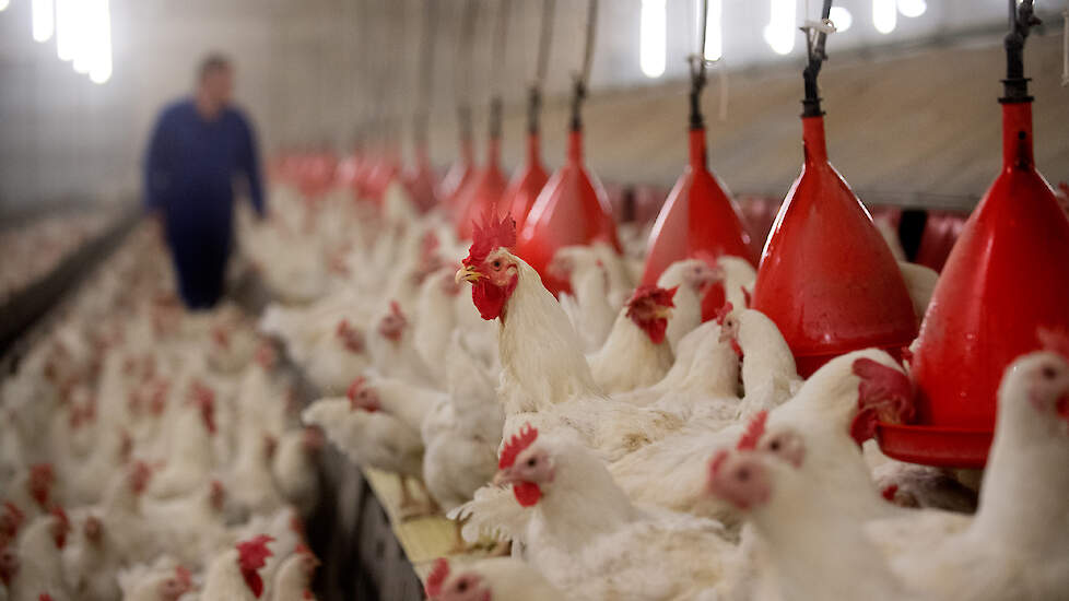 Is een nieuw vaccin het keerpunt?