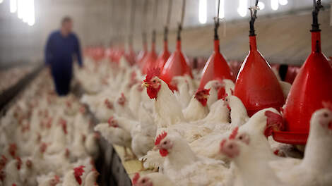 Is een nieuw vaccin het keerpunt?