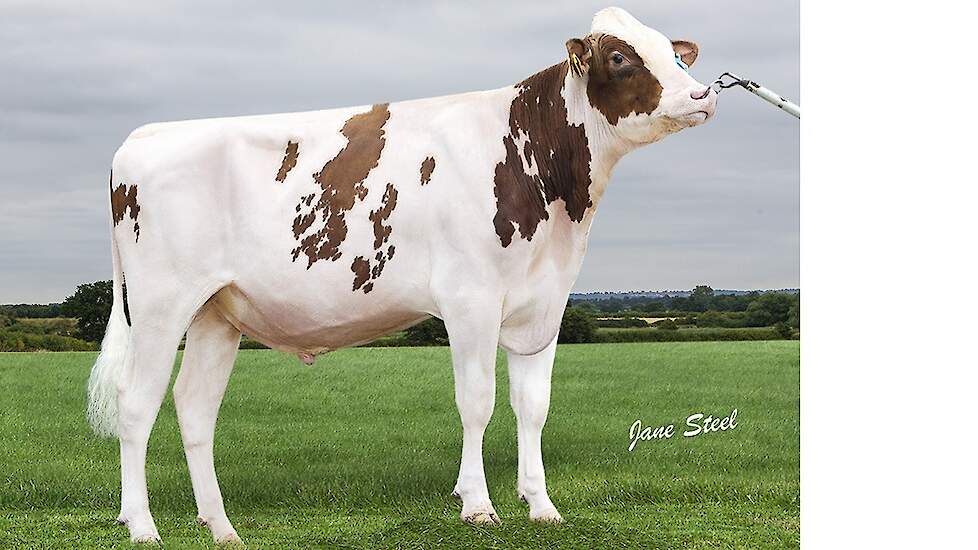 Rammstein (foto) heeft 47 punten NVI meer dan de nummer twee: Ranger.