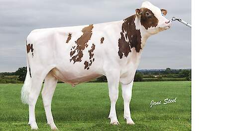 Rammstein (foto) heeft 47 punten NVI meer dan de nummer twee: Ranger.