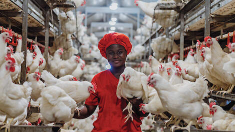 Verantwoordelijke medewerker in de stal
