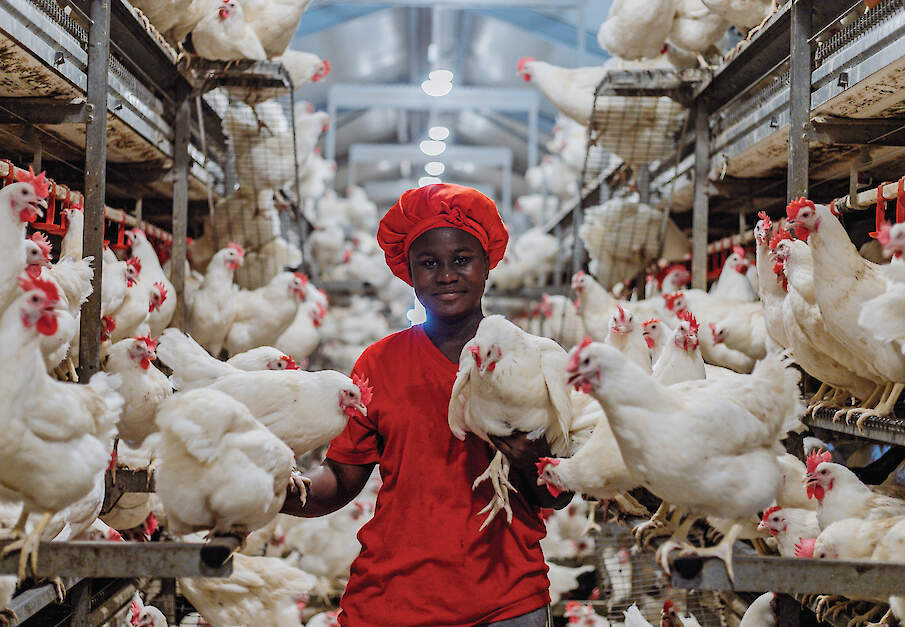 Verantwoordelijke medewerker in de stal