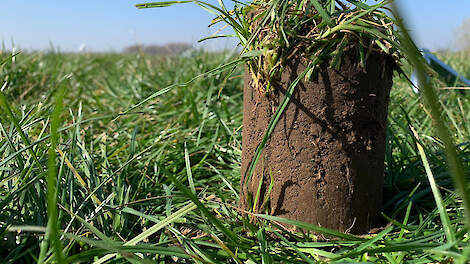 Beeld ter illustratie van grasmonster.