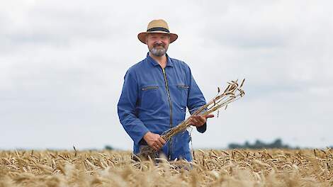 Hero Havenga de Poel in het veld, waar de basis ligt voor zijn biologische baktarweketen.