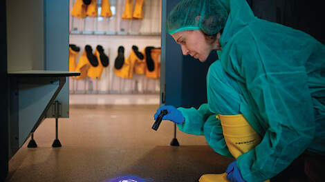 Francisca Velkers onderzoekt met fluorescentiegel onzichtbare routes van virus.