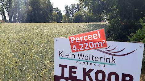 Makelaar bord te koop in graanveld