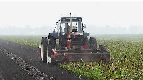International 1255 Twee fasen bietenrooien Gilles en WKM
