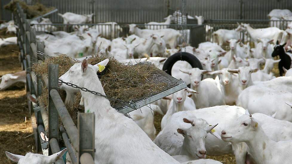 Beeld ter illustratie.