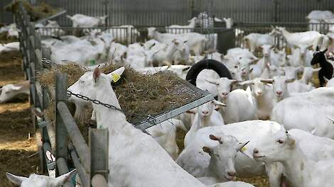 Beeld ter illustratie.