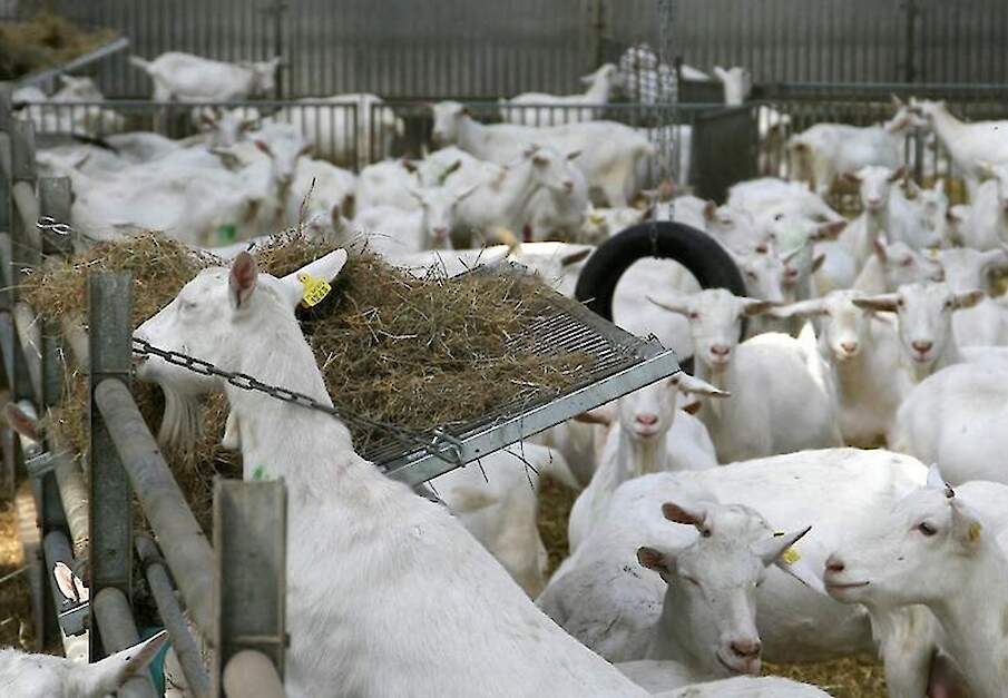 Beeld ter illustratie.