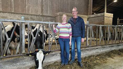 Arend en dochter Margreet Heida in de stal bij hun koeien.