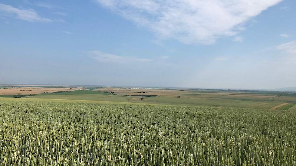 Roemeni&euml; biedt veel potentie en een vriendelijke investeringsklimaat