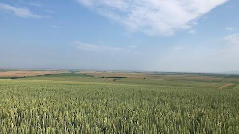 Roemeni&euml; biedt veel potentie en een vriendelijke investeringsklimaat