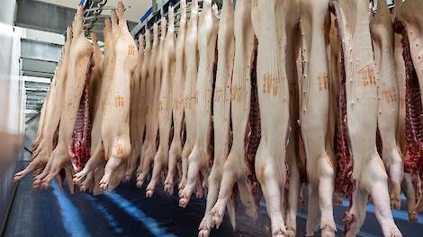 Foto ter illustratie.