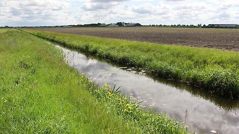 sloot watergang scheiding akker waterkwaliteit gewasbescherming