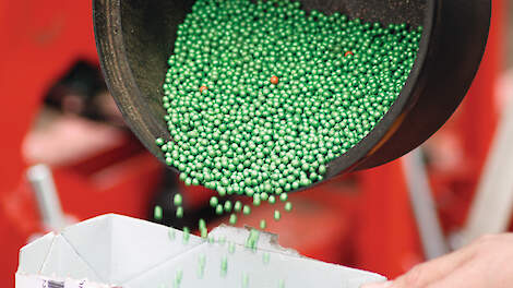 Ondanks beperkte beschikbaarheid van zaad, komen er steeds meer rassen met eigenschappen voor een gezonde bietenteelt.