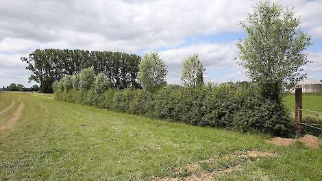 Beeld ter illustratie.