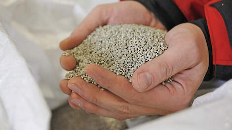 Kunstmestkorrels in de hand