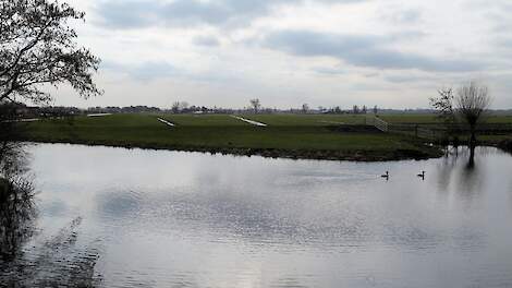De provincie gaat de stikstofbelasting van de watervogels bij de Nieuwkoopse Plassen in kaart brengen.