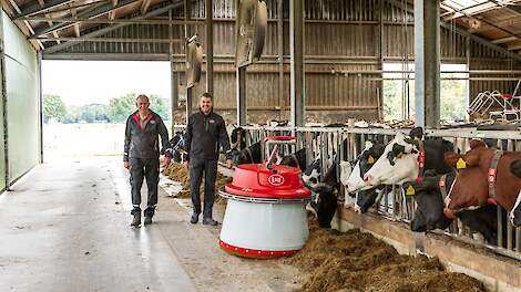 Melkveehouders van Bergen die over de voergang van een koeienstal lopen terwijl de Lely Juno het voer aanschuift