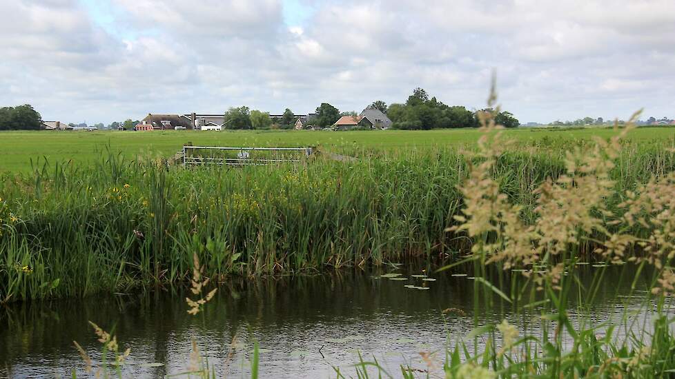 Beeld ter illustratie.