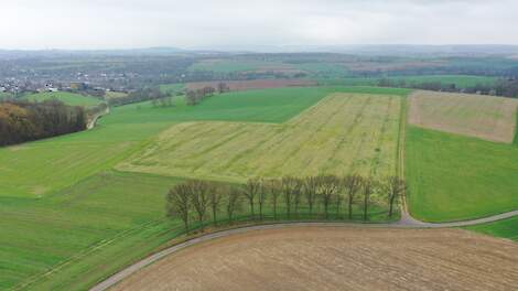 Landschap met grasland en bouwland