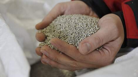 Kunstmestkorrels in de hand