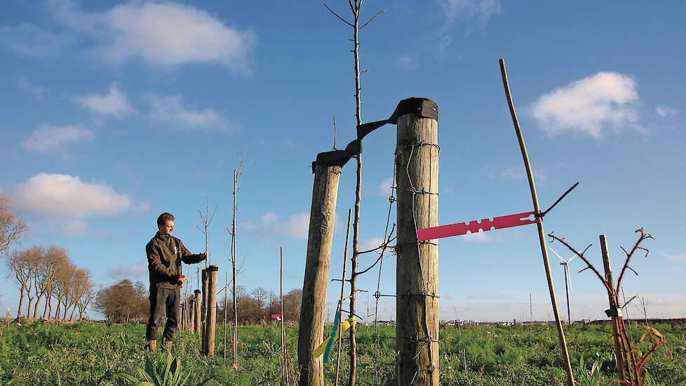 Luuk Kerckhaert in het veld