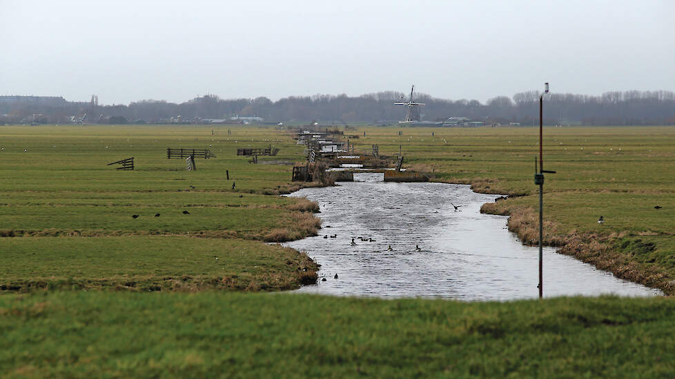 Landschap in de Nieuwkoopse Plassen